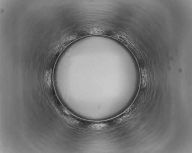 X0000073710695200608311755