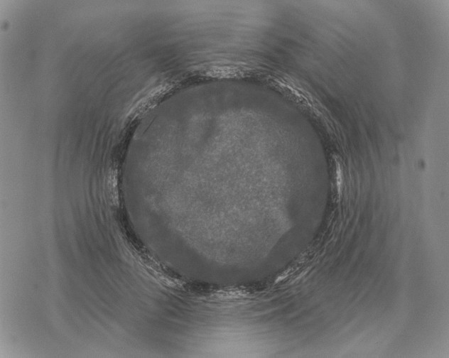 X0000073710696200608311755