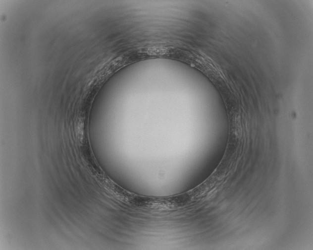 X0000073710697200608311755