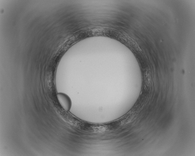 X0000073710698200608311755