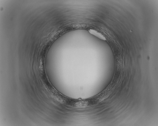 X0000073710700200608311755