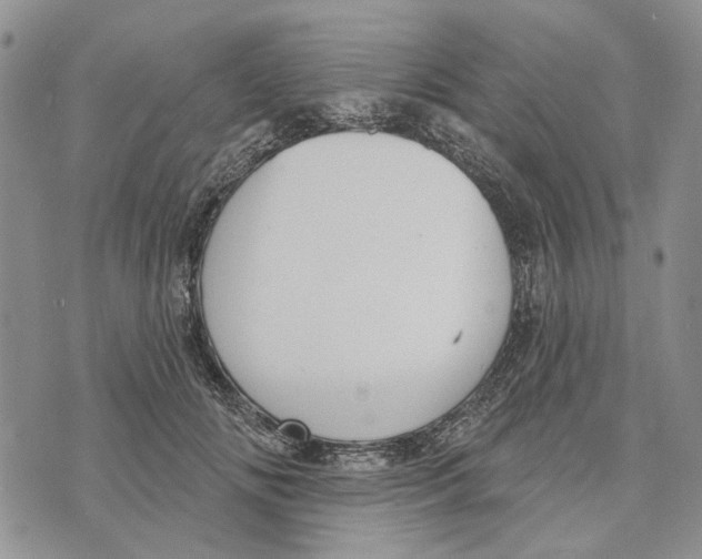 X0000073710702200608311755