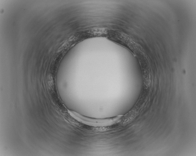 X0000073710704200608311755