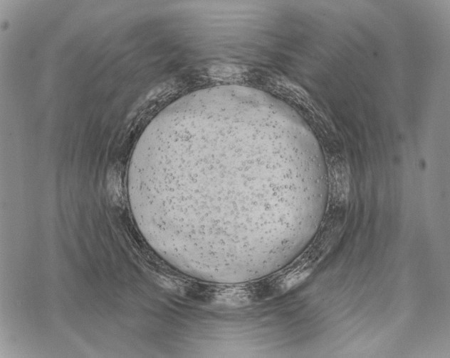 X0000073710705200608311755