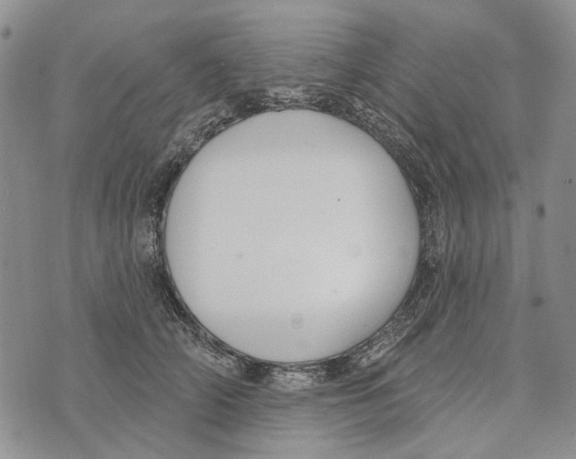 X0000073710706200608311755