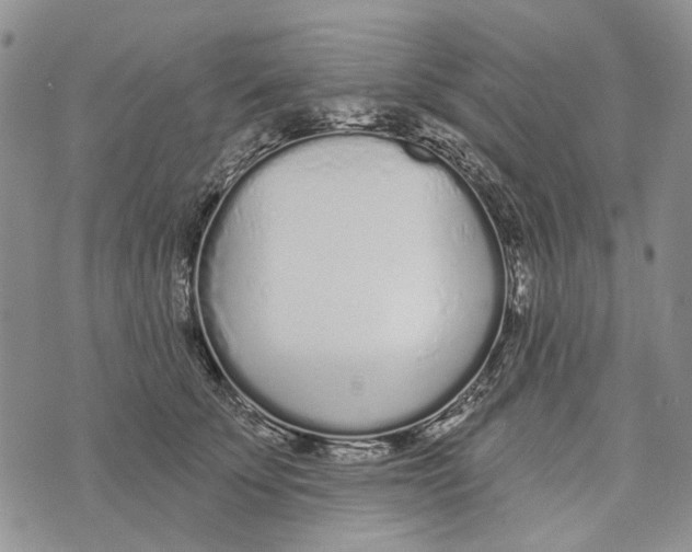 X0000073710707200608311755