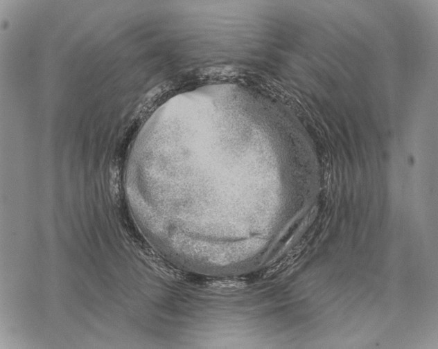 X0000073710708200608311755