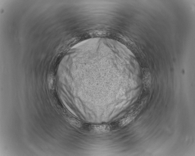 X0000073710709200608311755