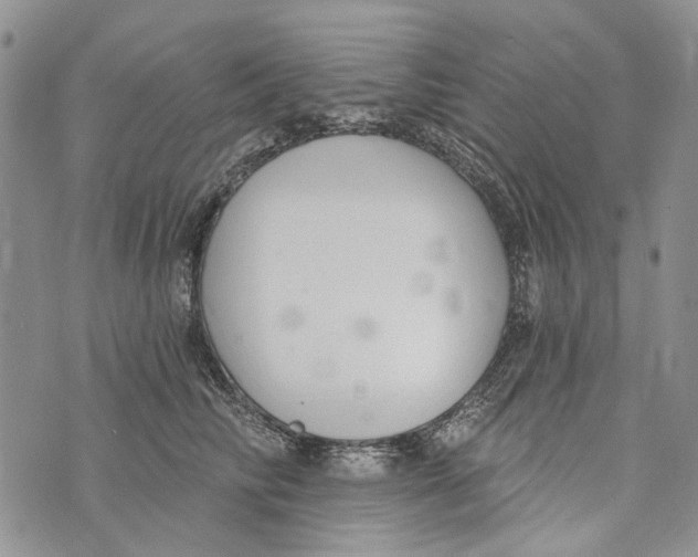 X0000073710710200608311754