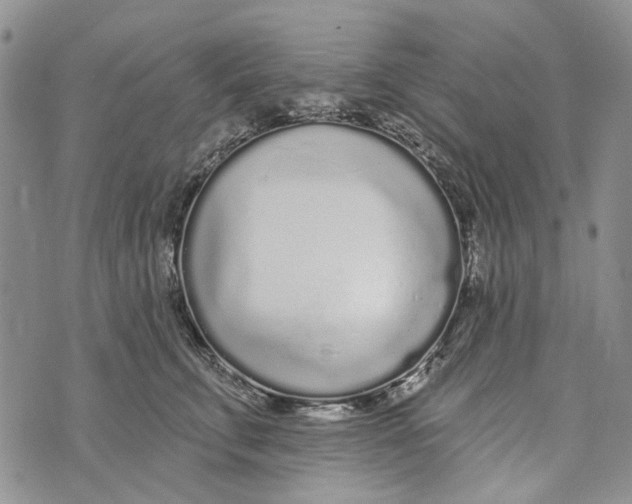 X0000073710711200608311754