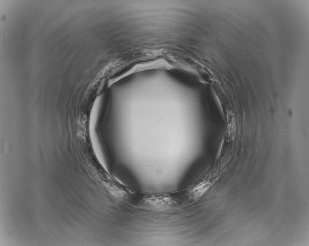 X0000073710712200608311754