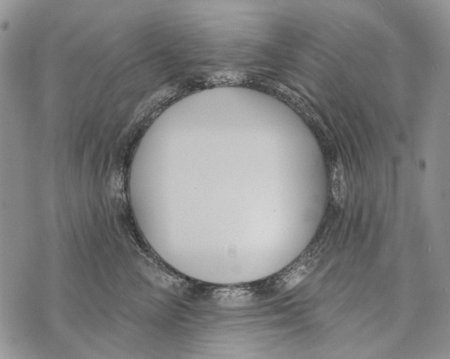 X0000073710714200608311754