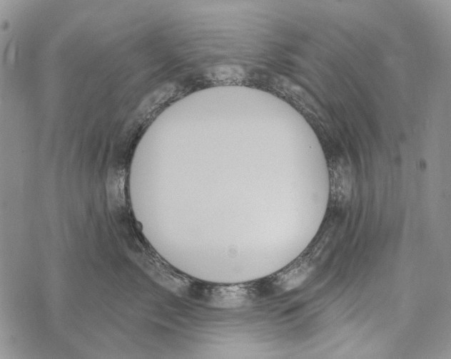 X0000073710717200608311754