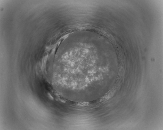 X0000073710720200608311754