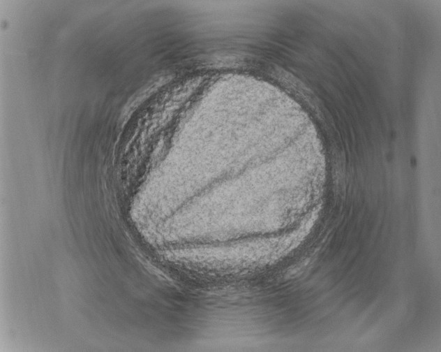 X0000073710721200608311754