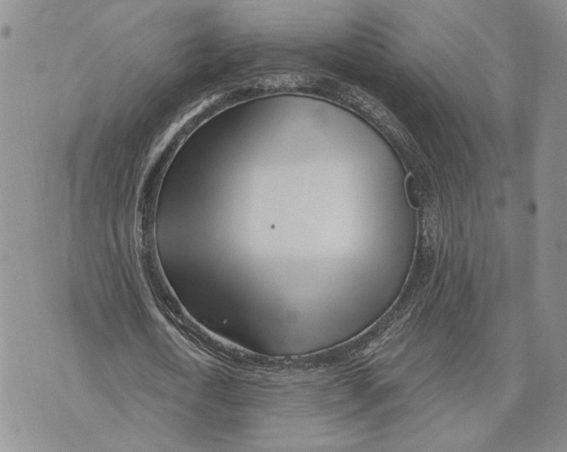 X0000073710722200608311754