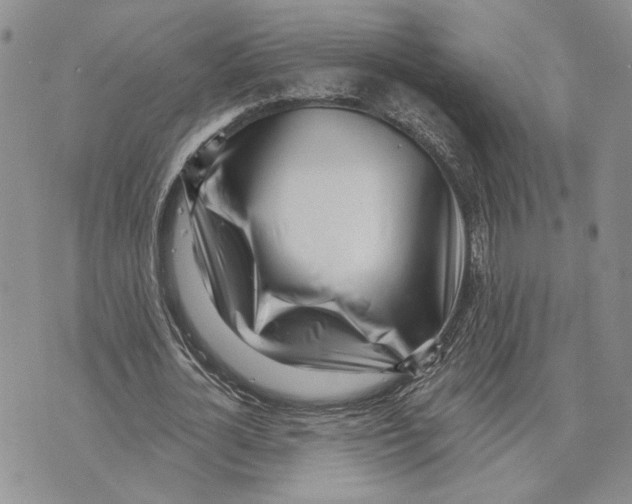 X0000073710724200608311754