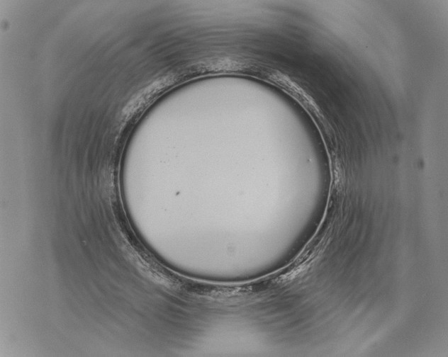 X0000073710725200608311754