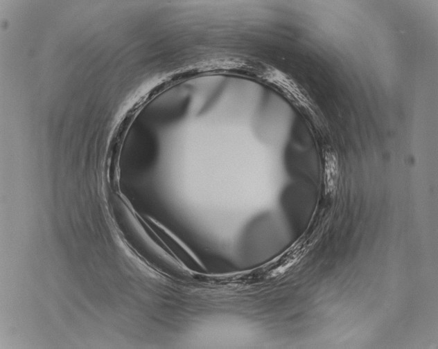 X0000073710726200608311754