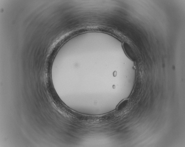 X0000073710728200608311754