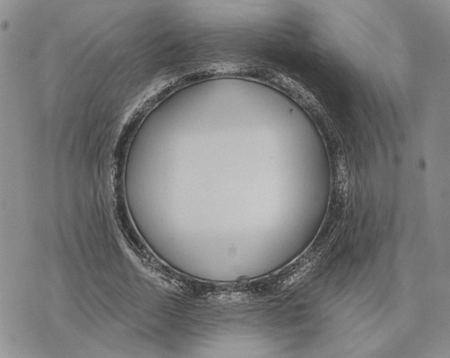 X0000073710730200608311754