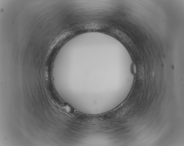 X0000073710731200608311754