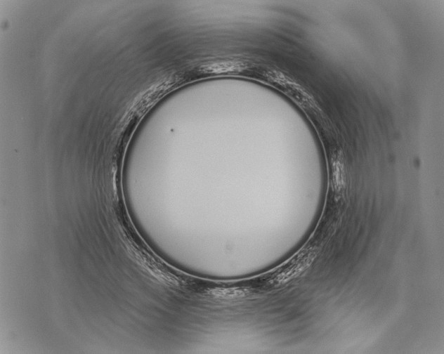 X0000073710733200608311754