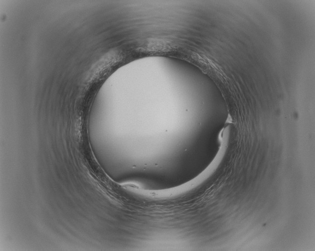 X0000073710735200608311754