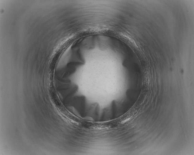 X0000073710736200608311754