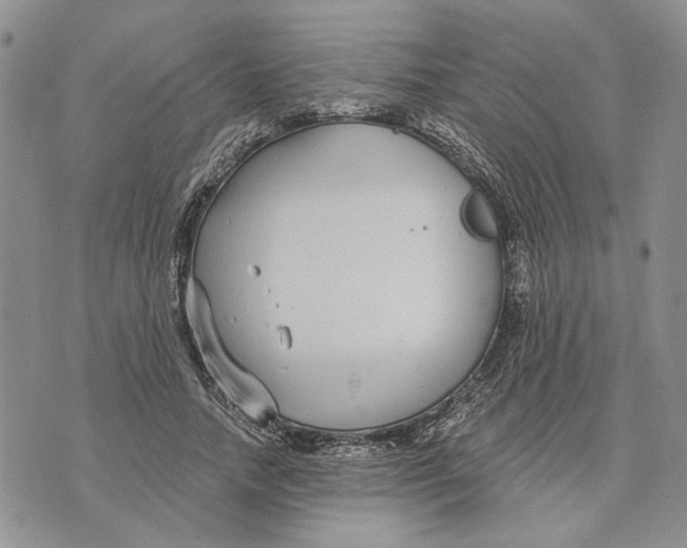 X0000073710738200608311754