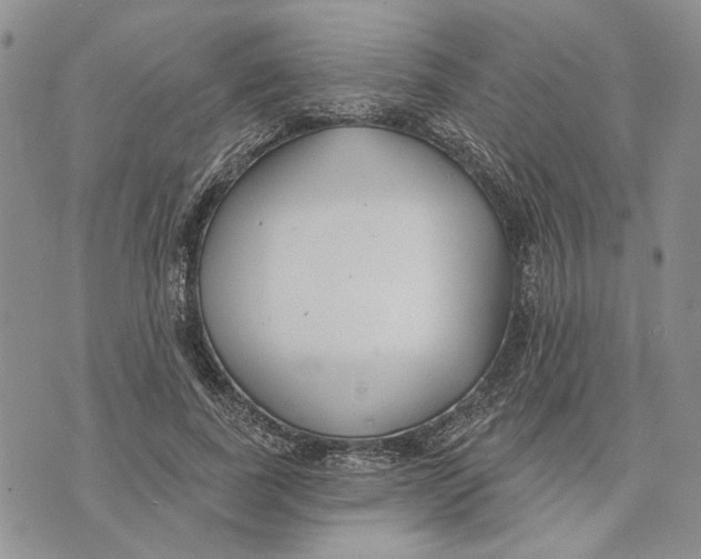 X0000073710739200608311754