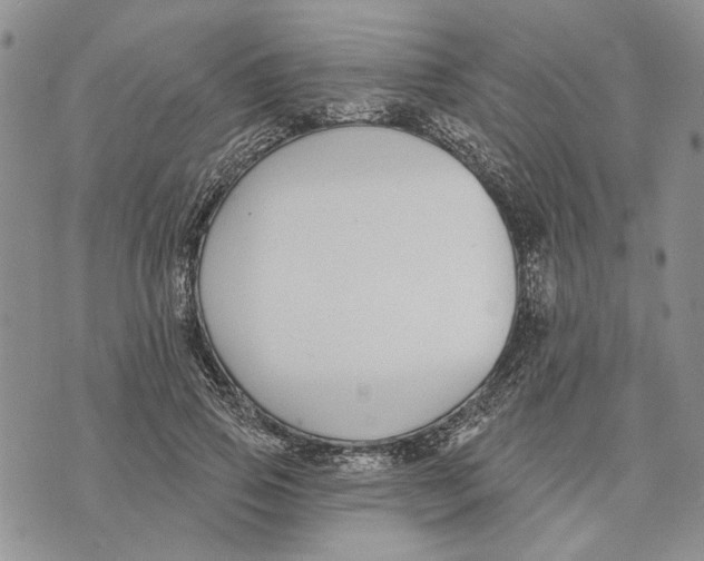 X0000073710741200608311754