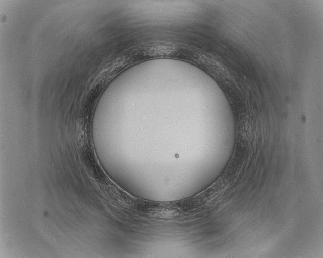 X0000073710743200608311754