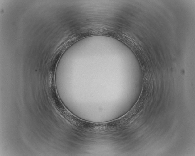 X0000073710744200608311754