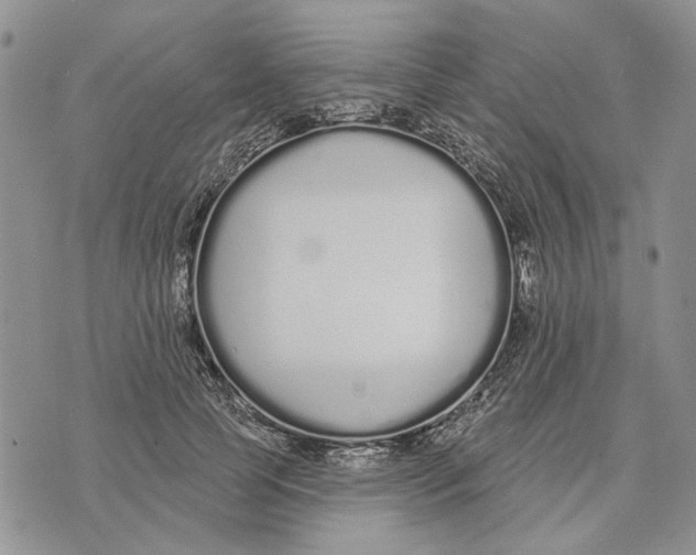 X0000073710745200608311754