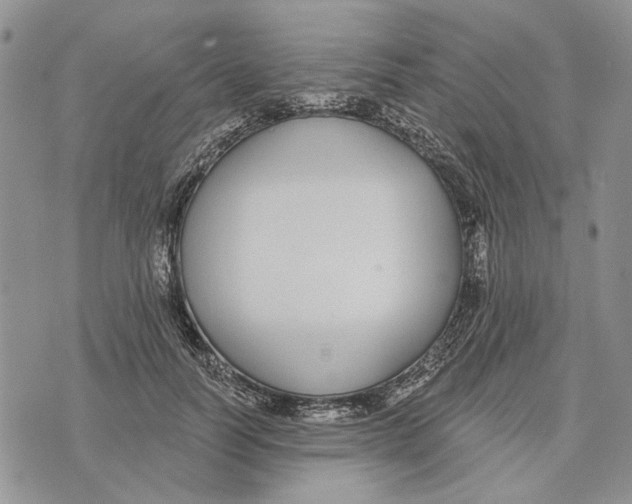 X0000073710746200608311754