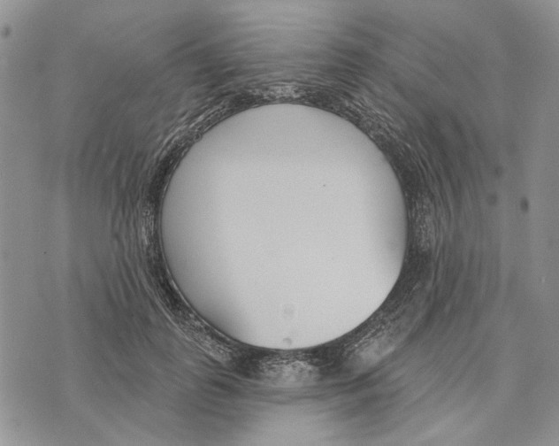 X0000073710747200608311754