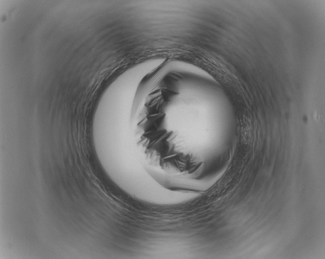 X0000073710748200608311754