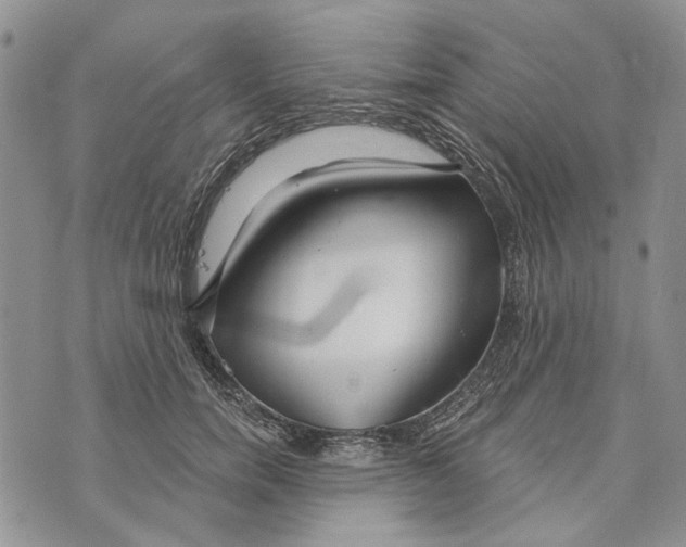 X0000073710750200608311754