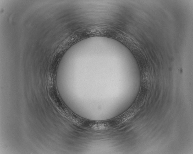 X0000073710751200608311754