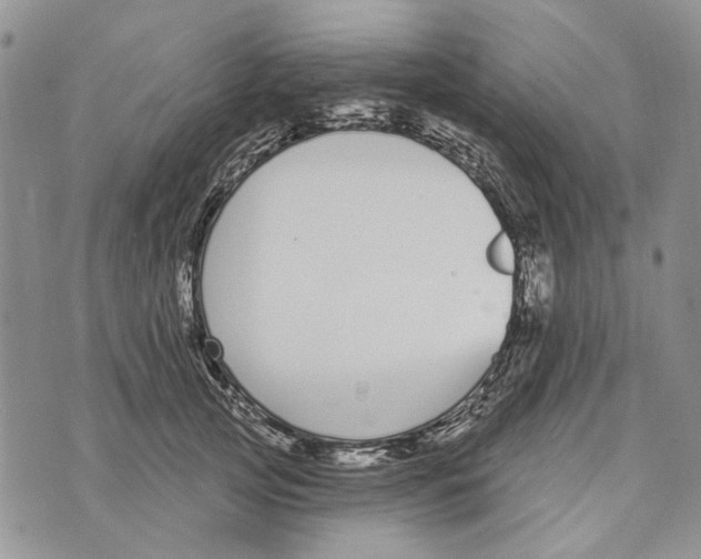 X0000073710753200608311754