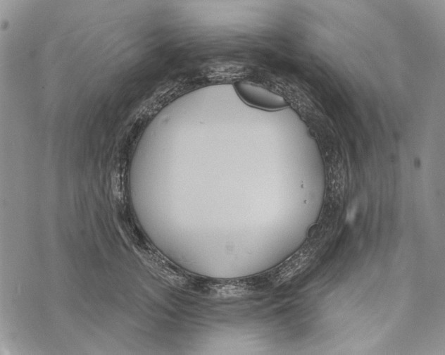 X0000073710755200608311754