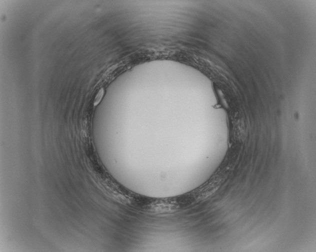 X0000073710756200608311754