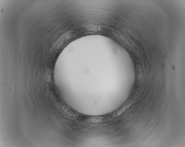 X0000073710758200608311754