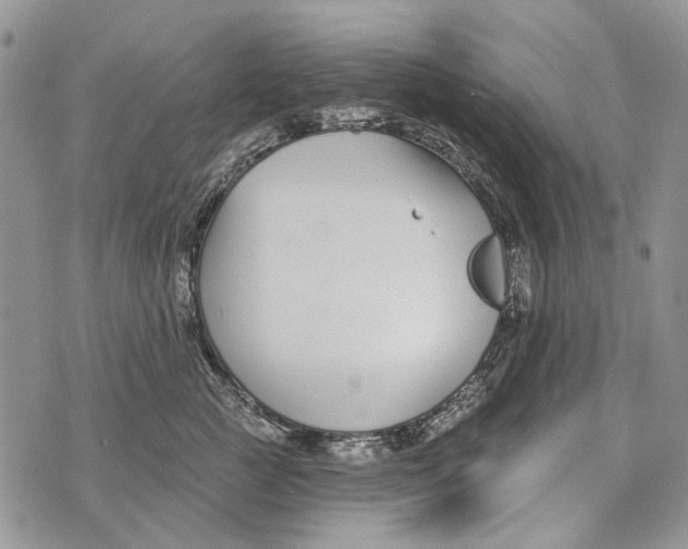 X0000073710761200608311754