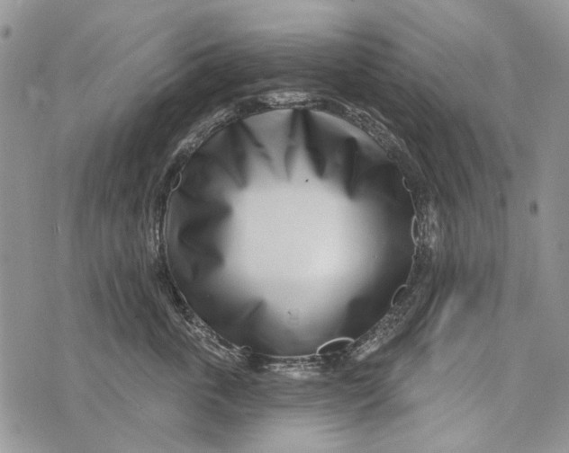 X0000073710763200608311754