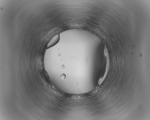 X0000073710764200608311754