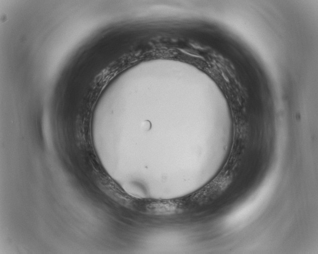 X0000073710765200608311754