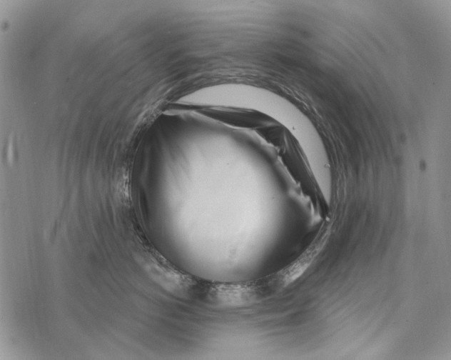 X0000073710766200608311754