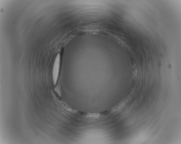 X0000073710767200608311754